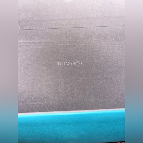 Tiffany & Co. Blue Glasses Case - Picture 3 of 4